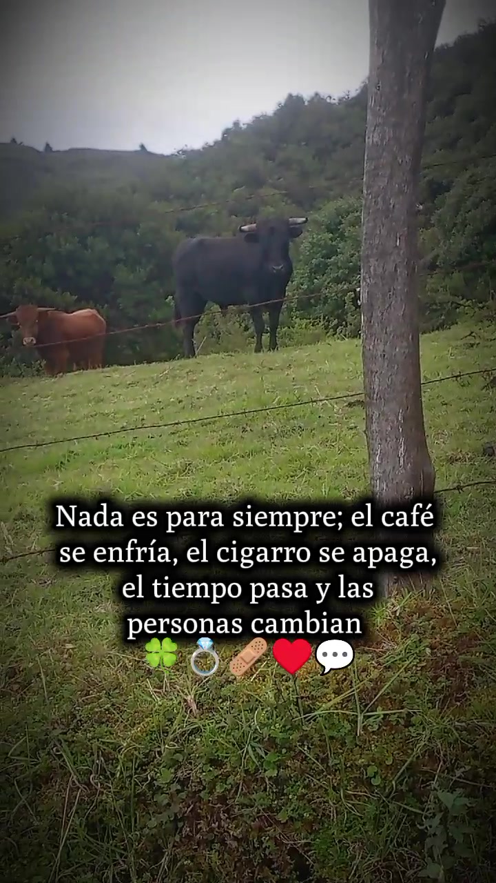 @ganaderia el pedrega