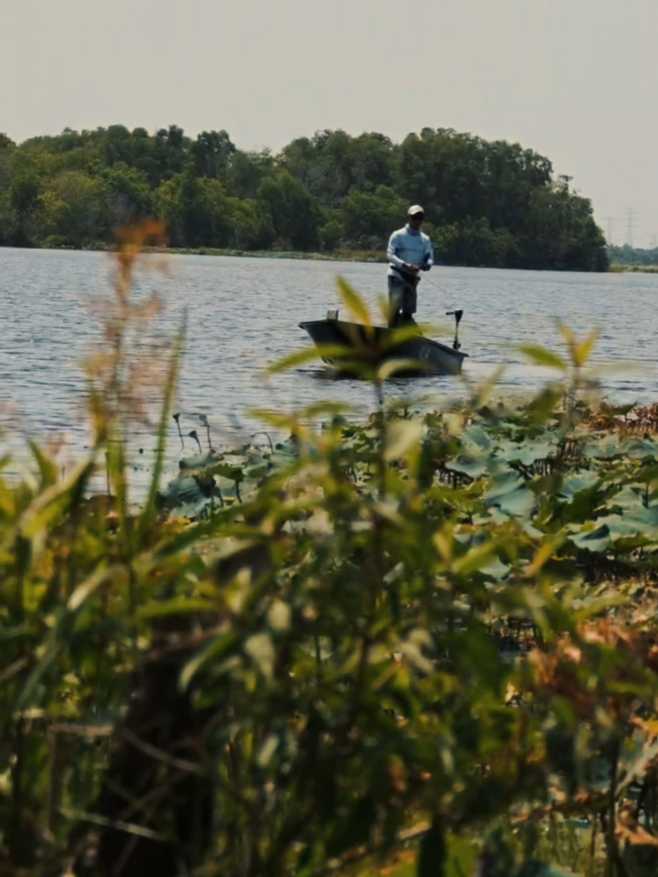 @XLA FISHING