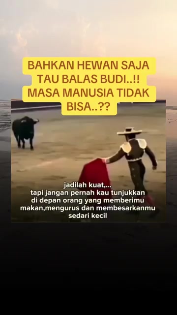 @🔥🇲🇾Mr. Abang 🅰️Ⓜ️&rsquo;s🇸🇩🔥