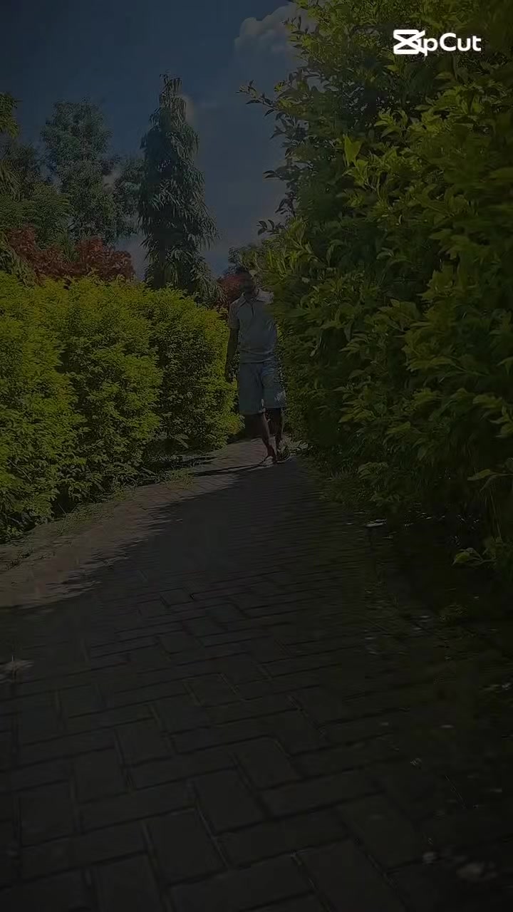 @&Atilde;~Ɓĥ&igrave;🫀🫆