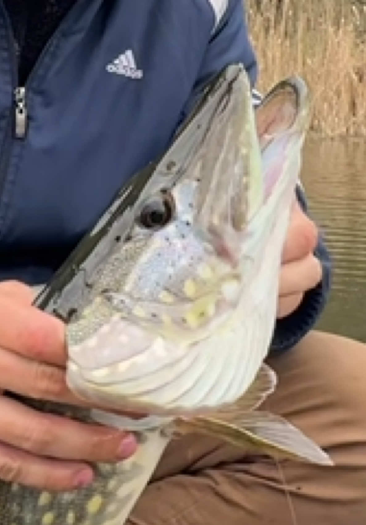 @𝗧𝗚.𝗗𝗬𝗫𝗙𝗜𝗦𝗛🎣