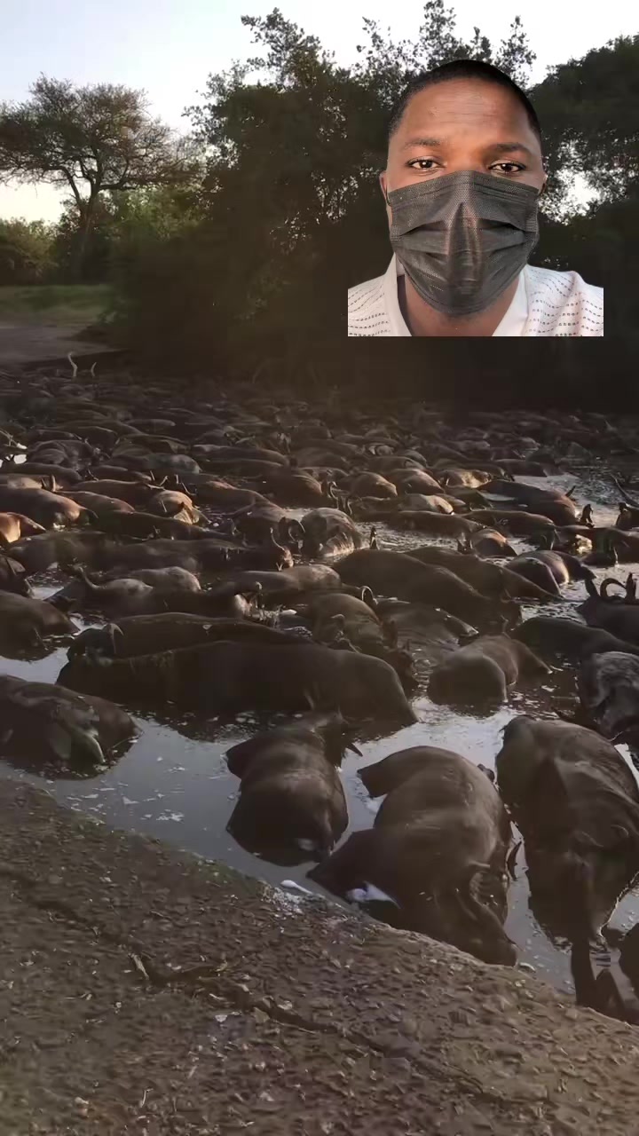 @Arojinle