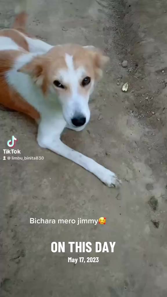 @beenita Limbu1💝🥀🥀