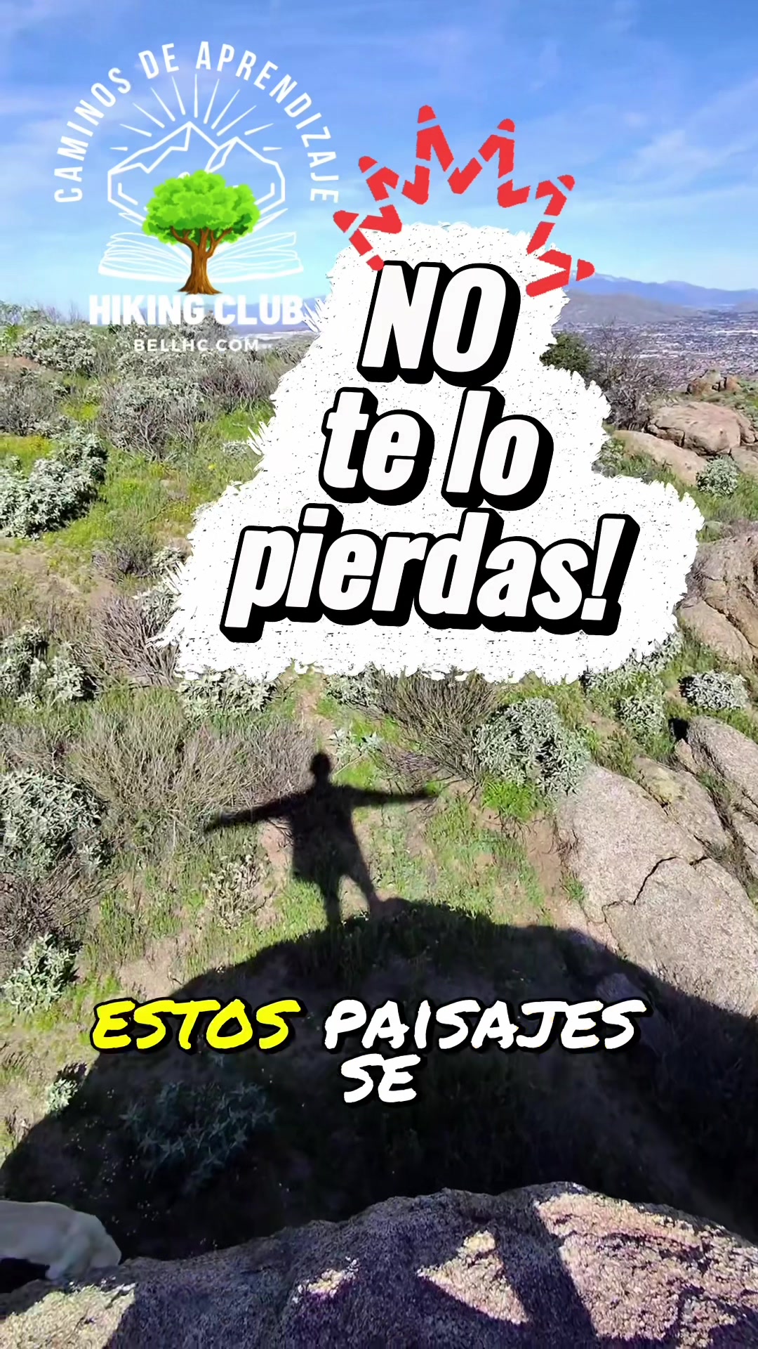 @Sergio Alvarez