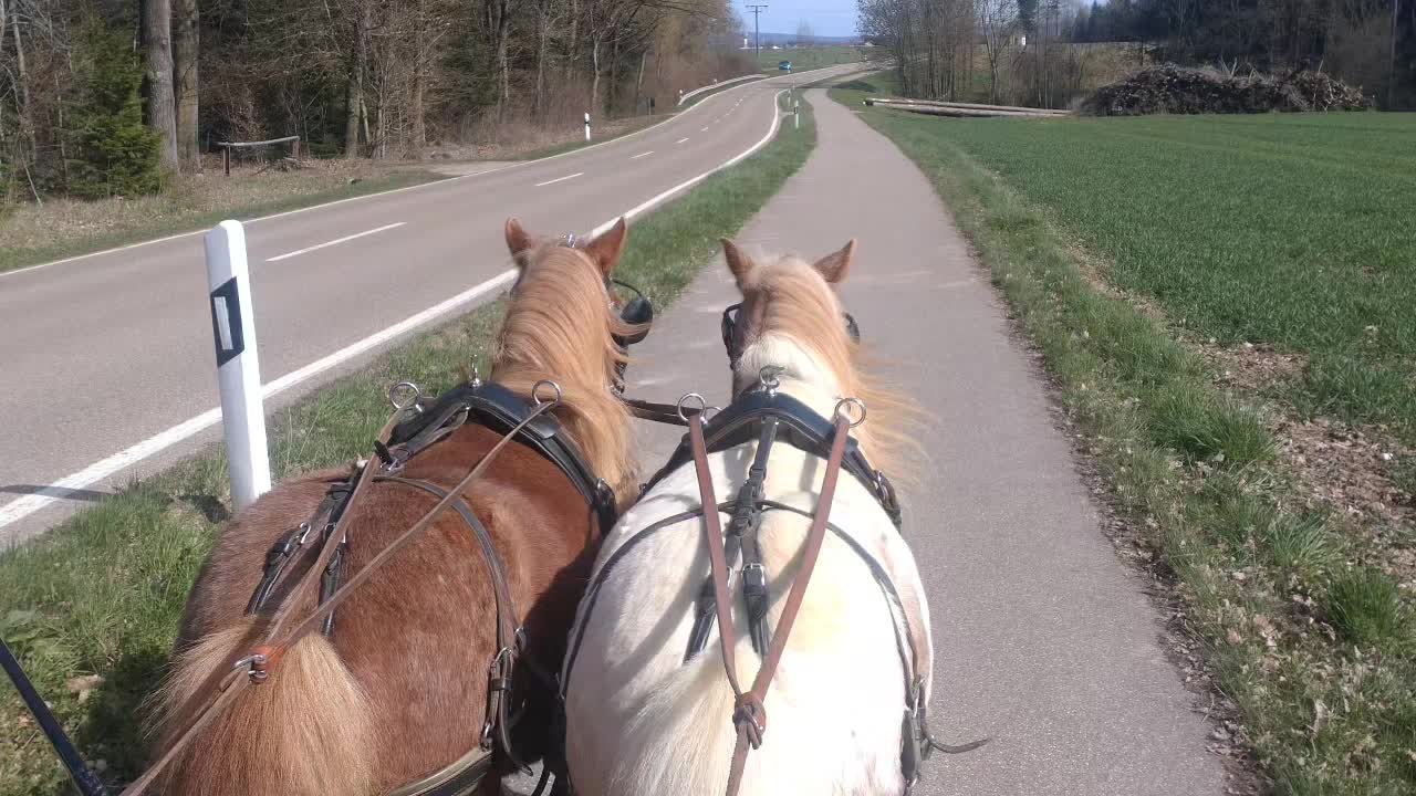@💞🐴 Madeleine 🐴💞