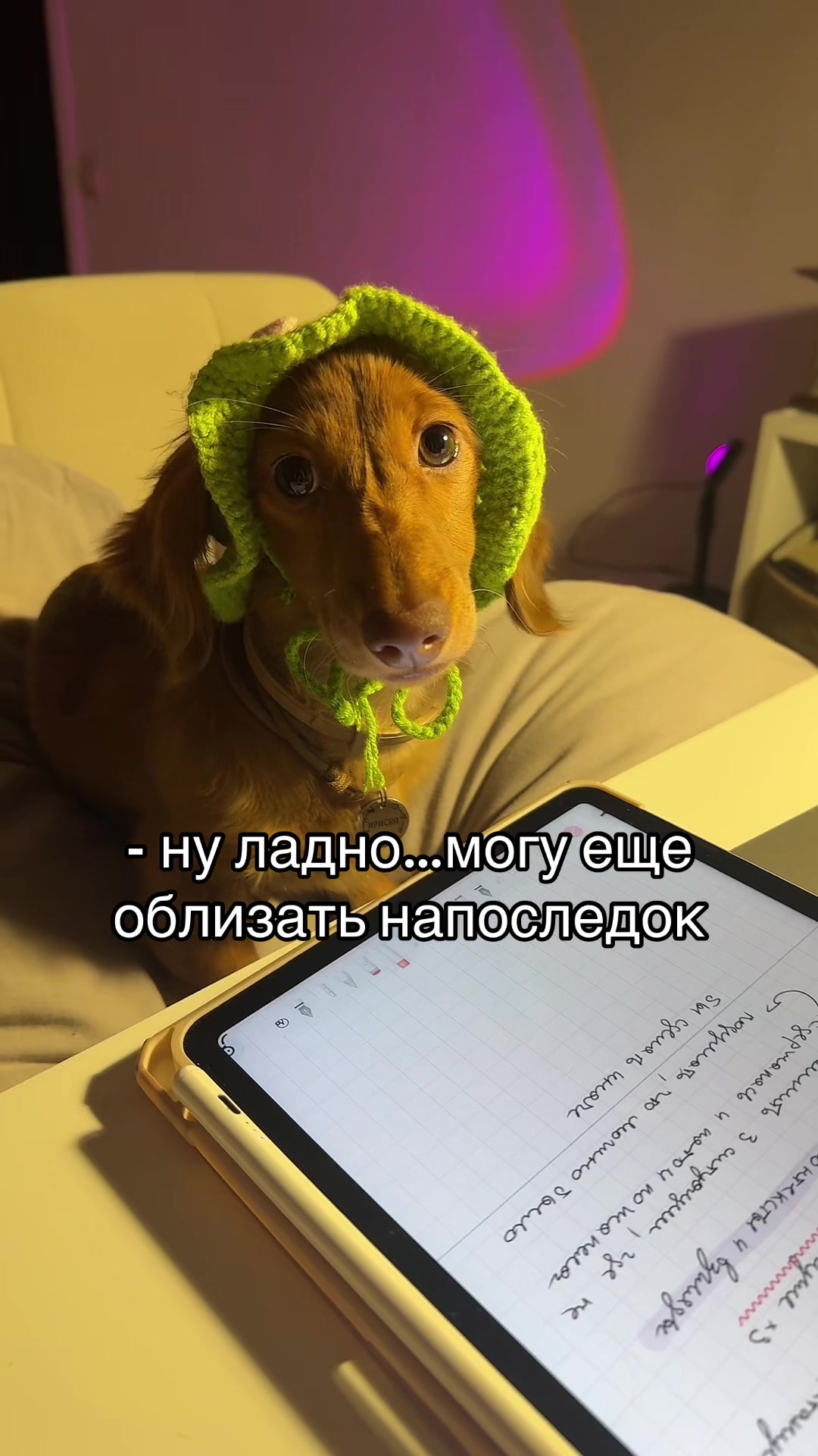 @тг psy_valeriii | психолог КПТ