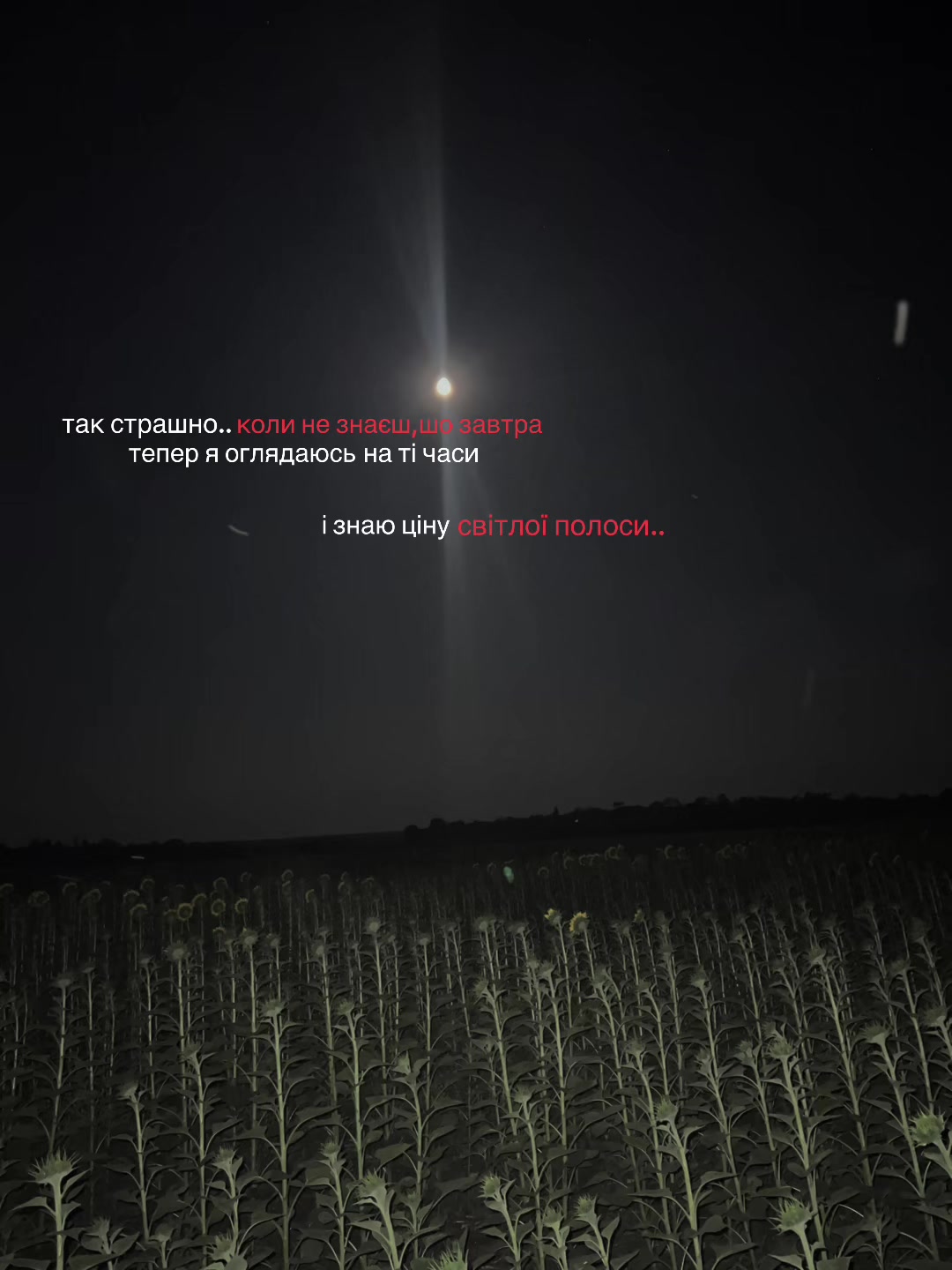 @Ірина Ліпай