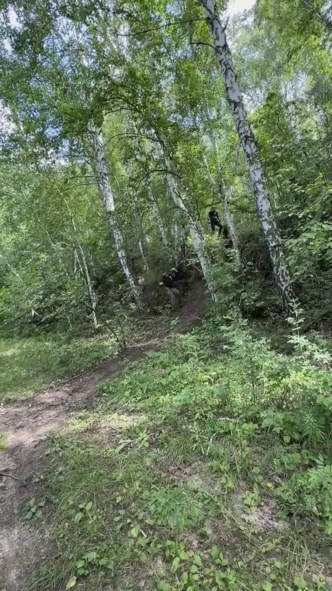 @Михаил Великих