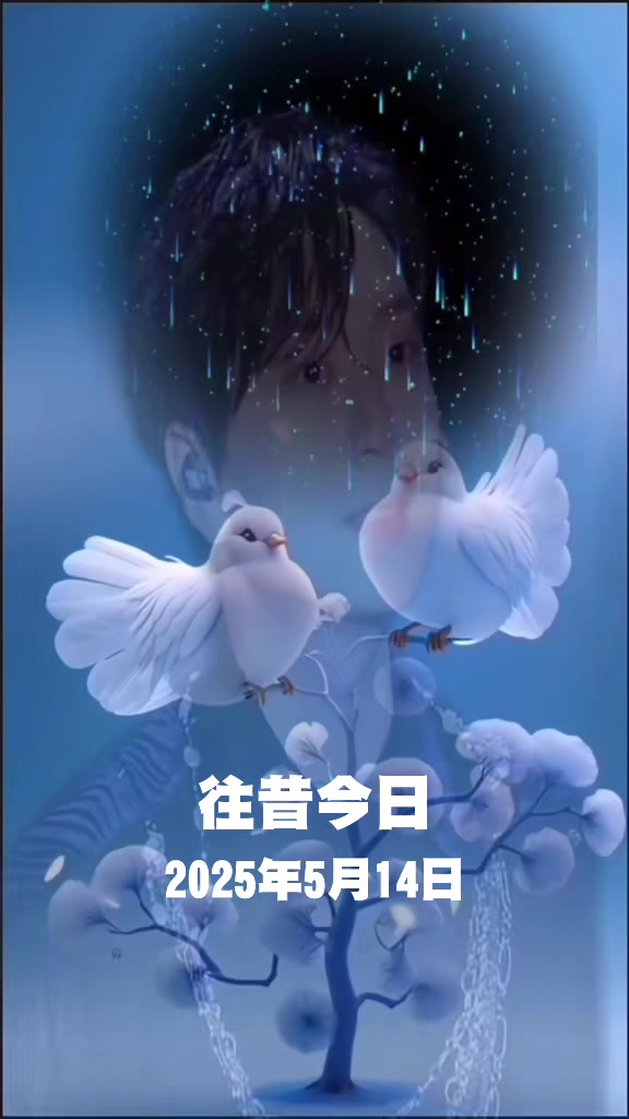 @🕊⚖️子z🛡⚔️&🍚🥢