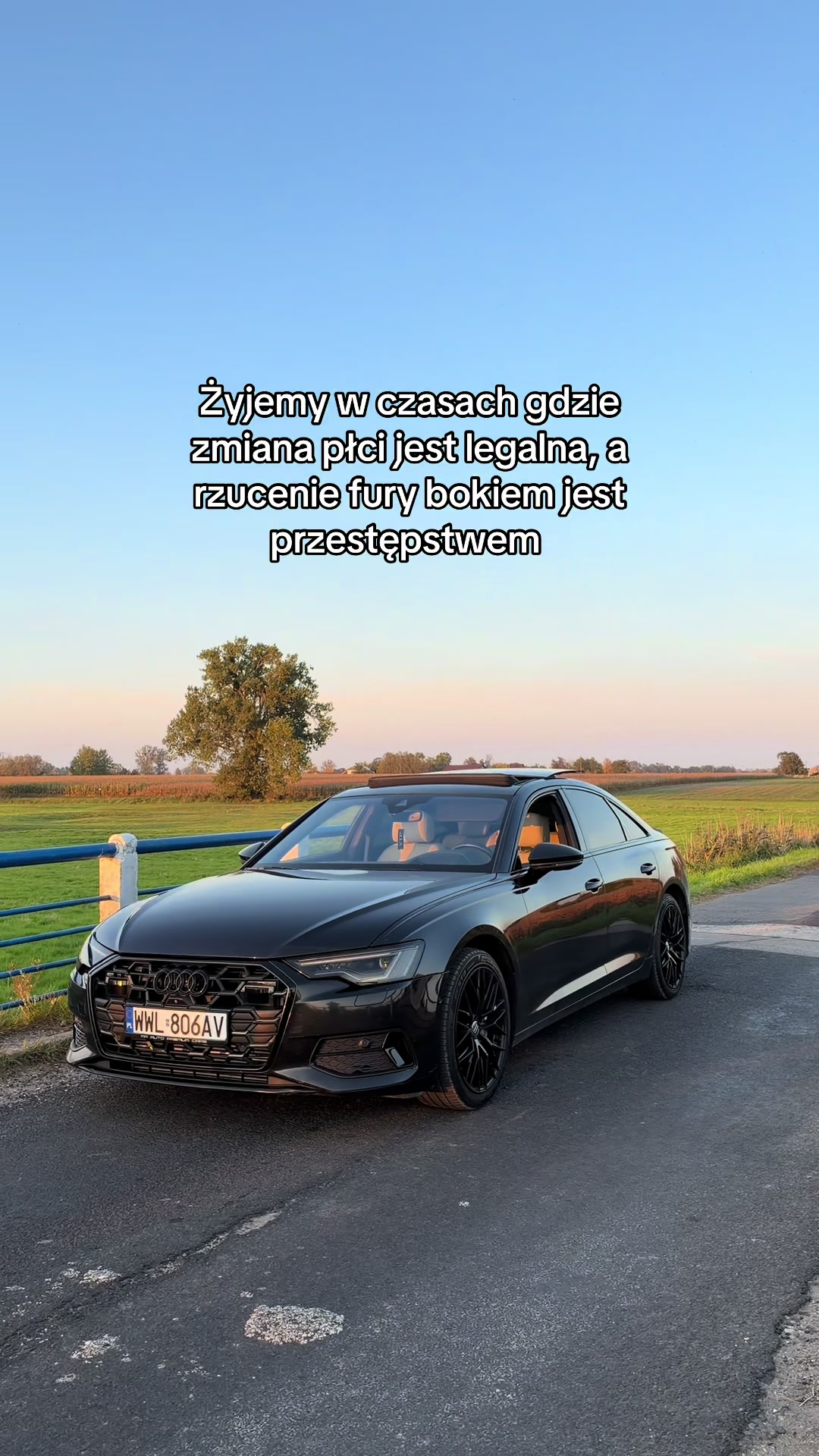 @A6AudiC8