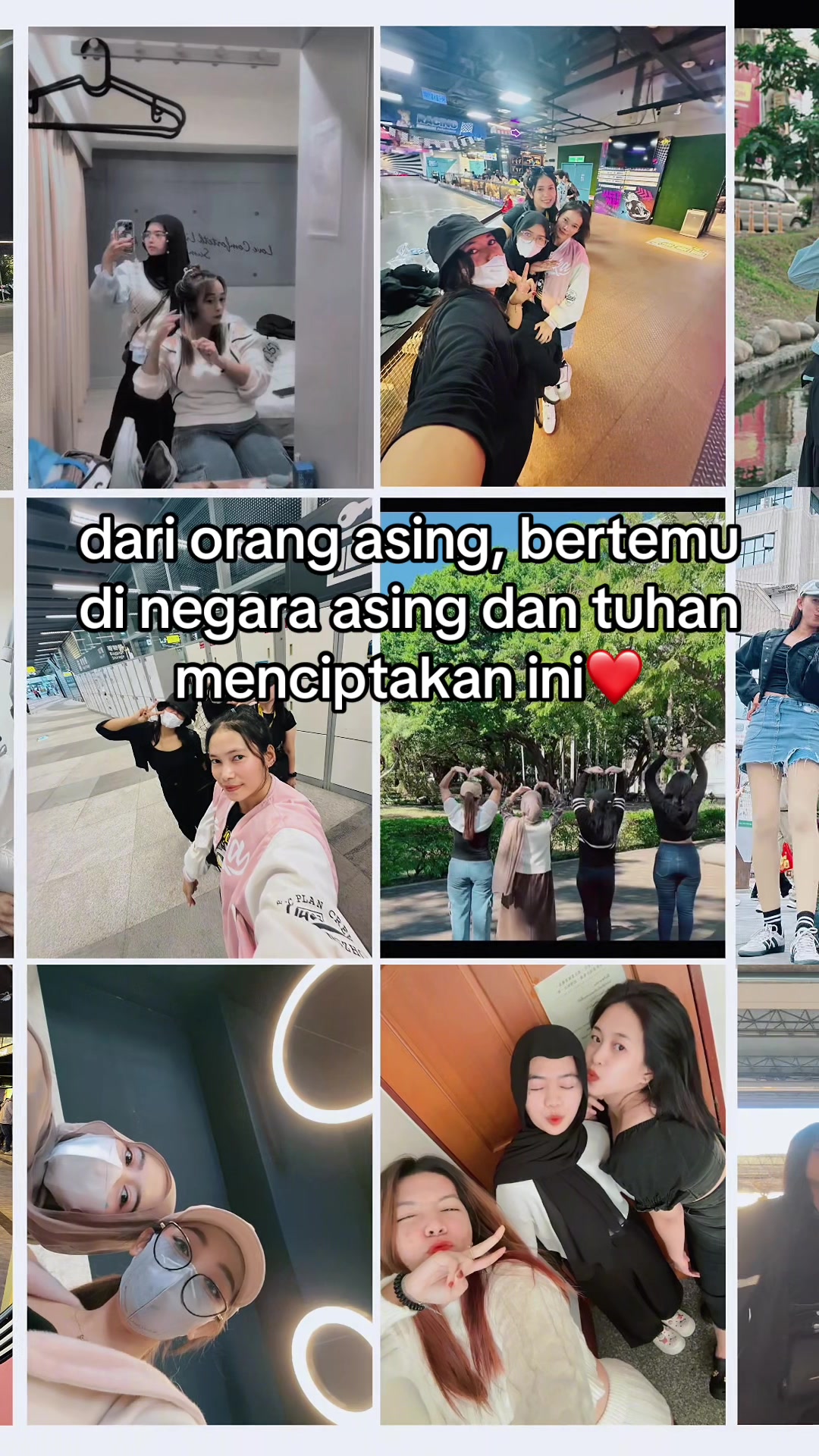 @153,5cm🦖