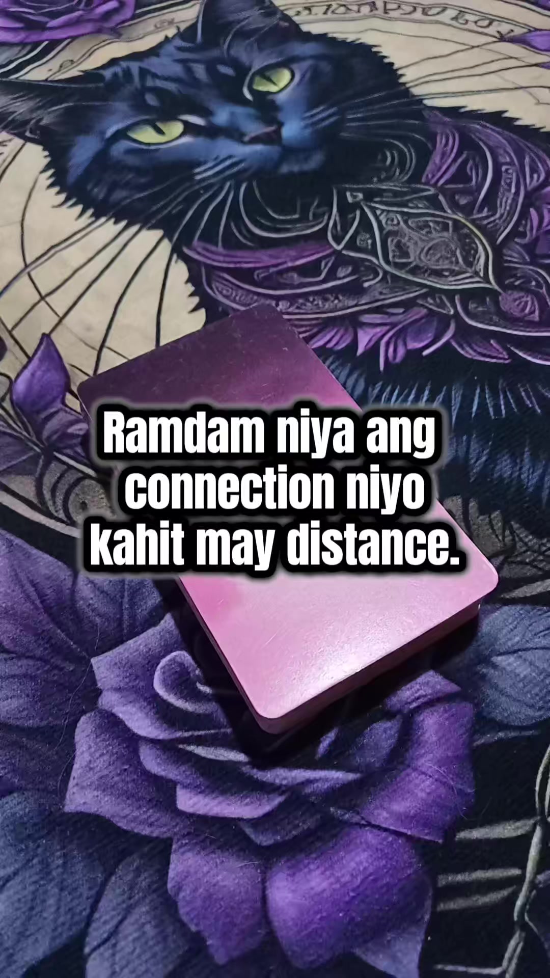 @Marie Tarot Reader