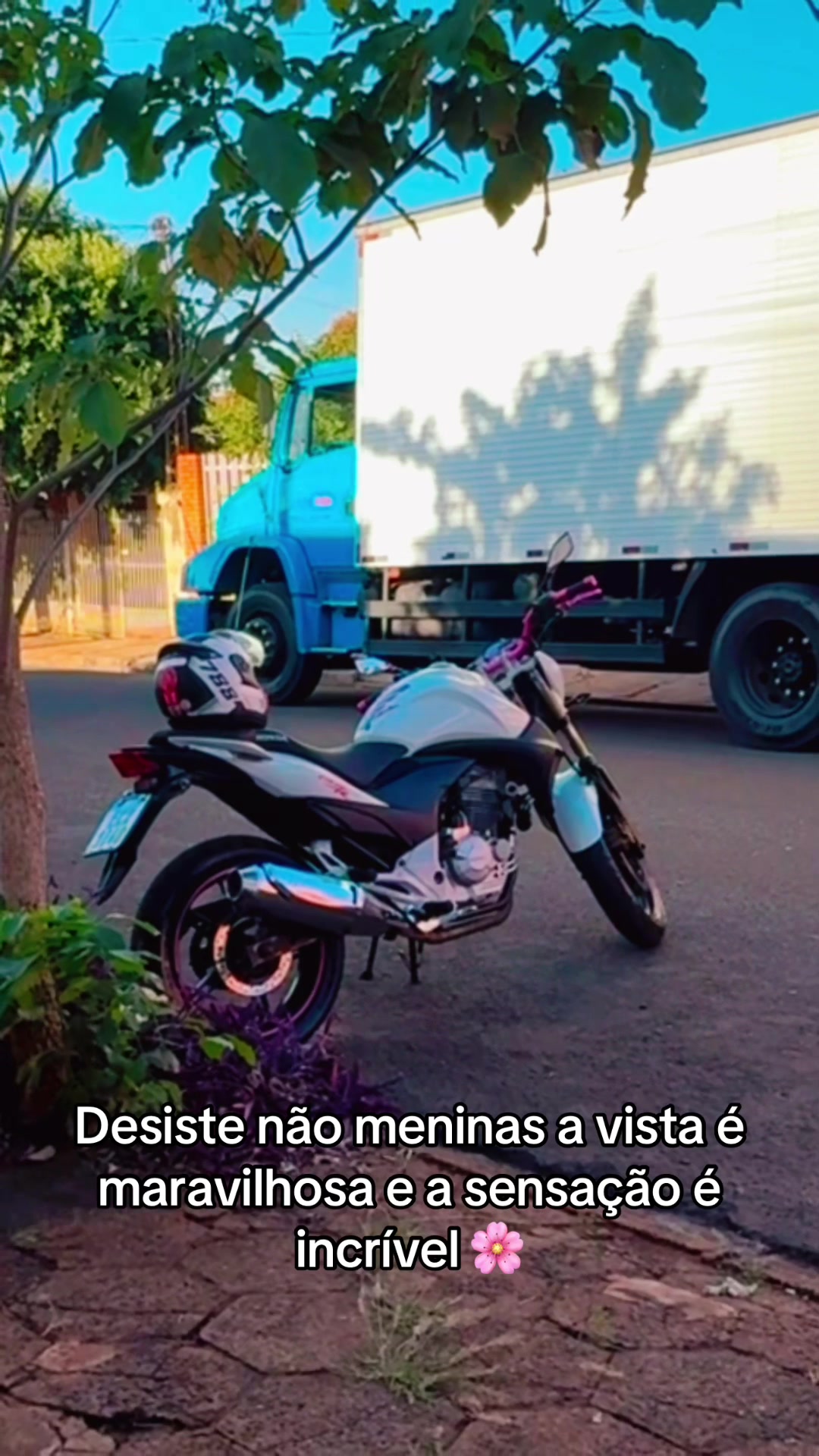 @Hellen Santos