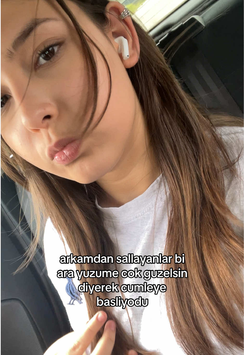 @NT🐆