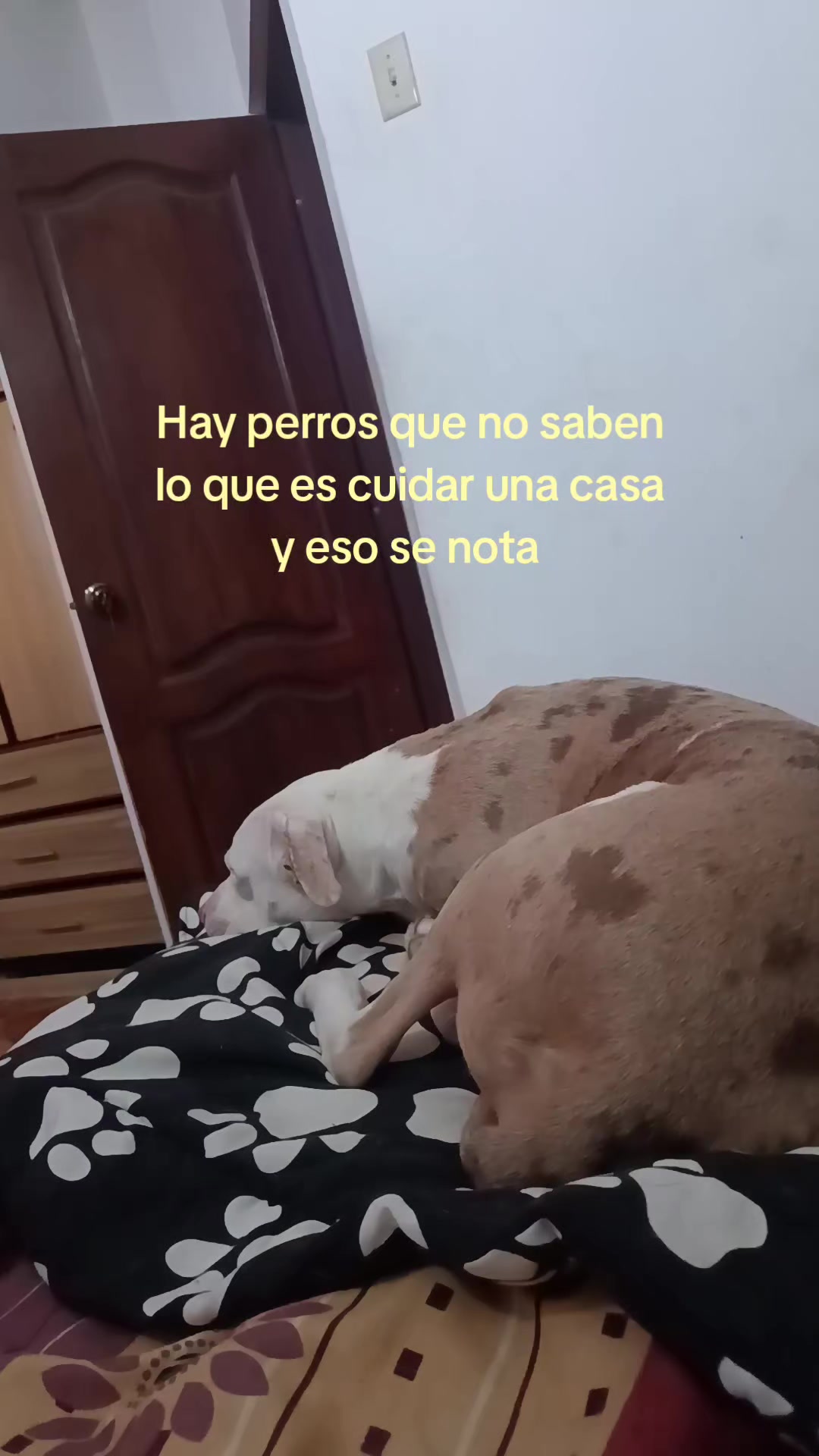 @🤎_ᒍɇ𝗿𝗿ყ_🤎
