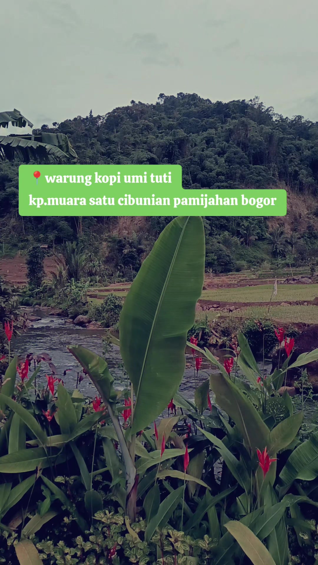@warungkopi umi tuti☕🍃