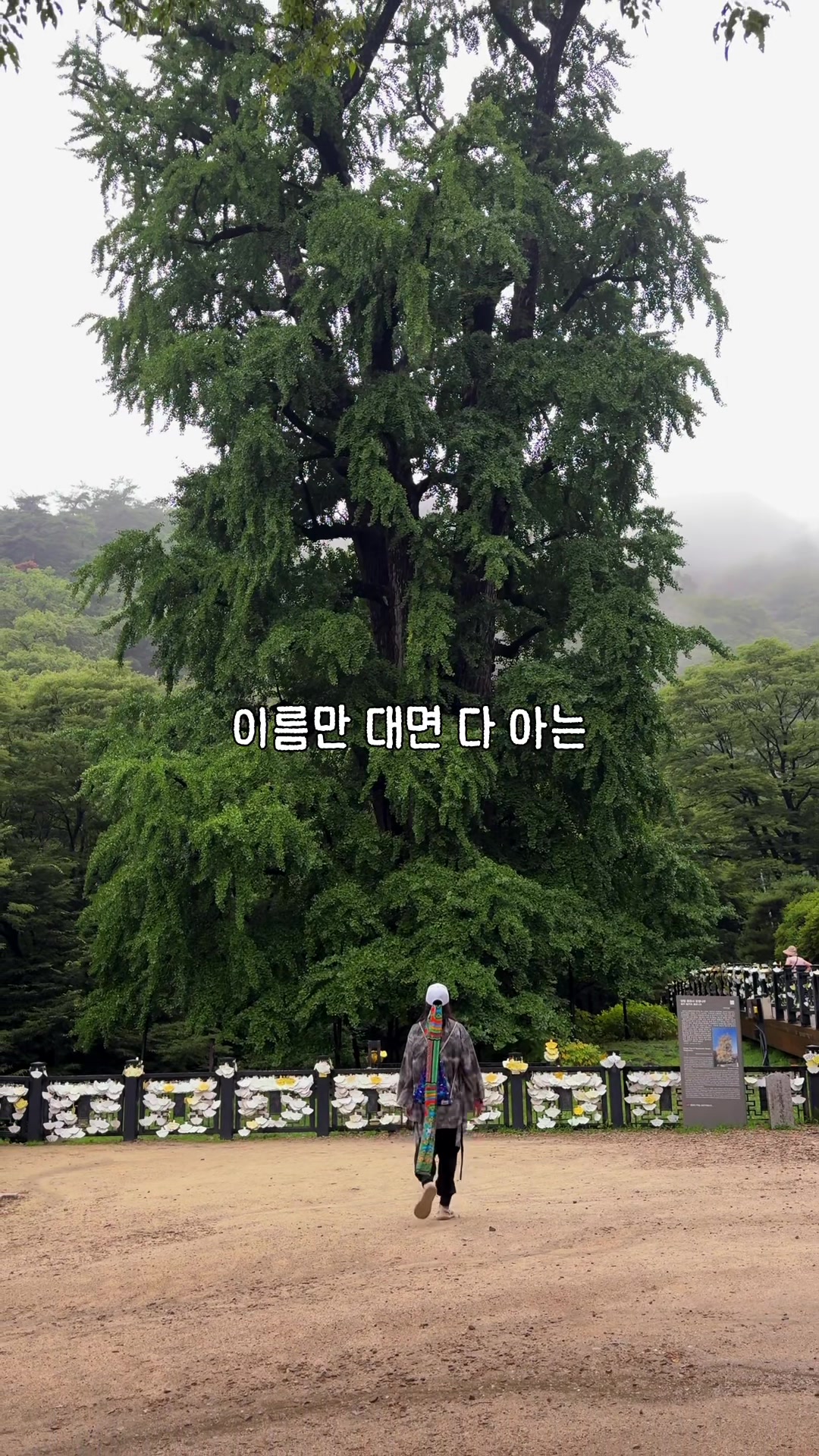 @traveler_jin