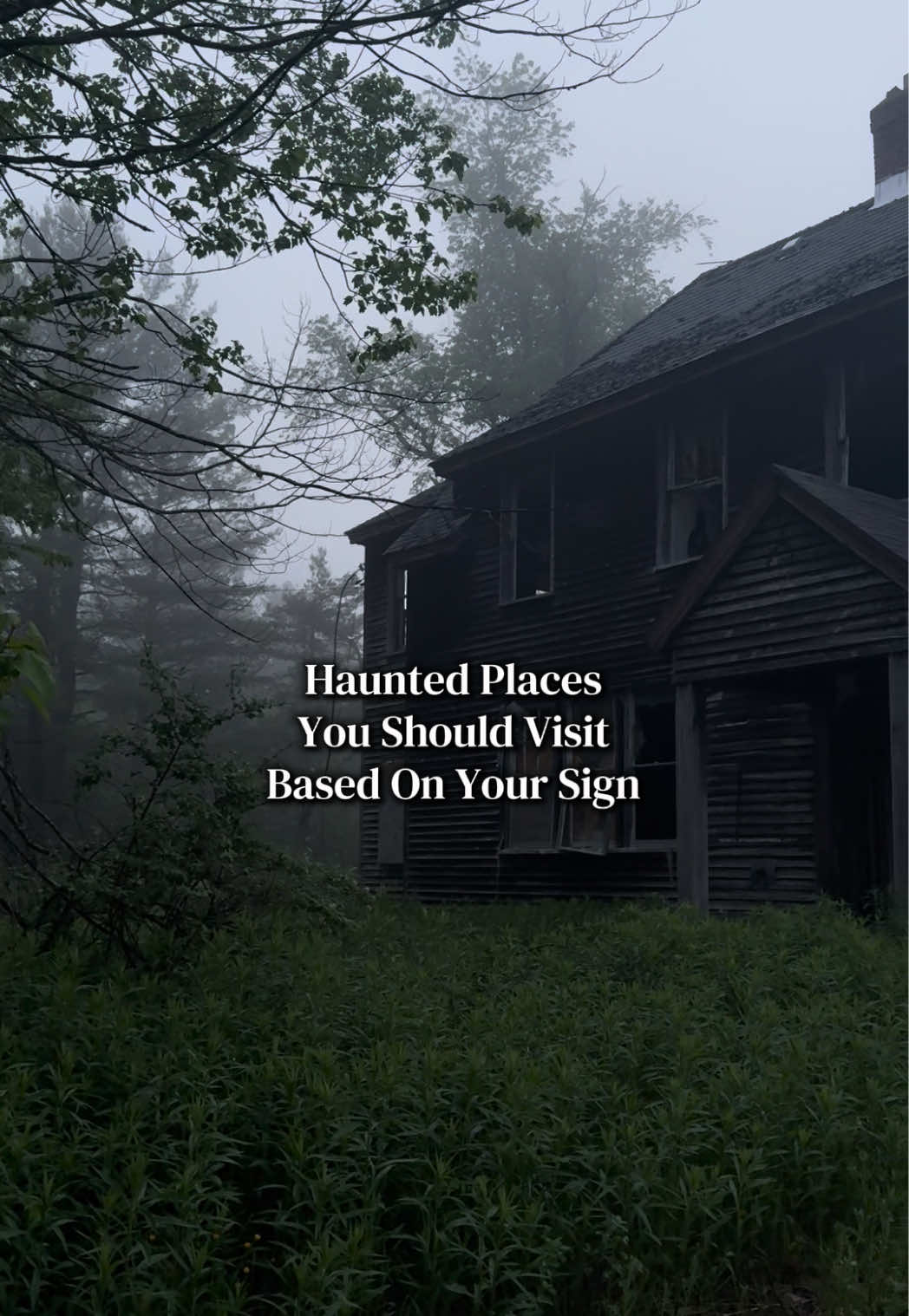 @The Ghoul Guide
