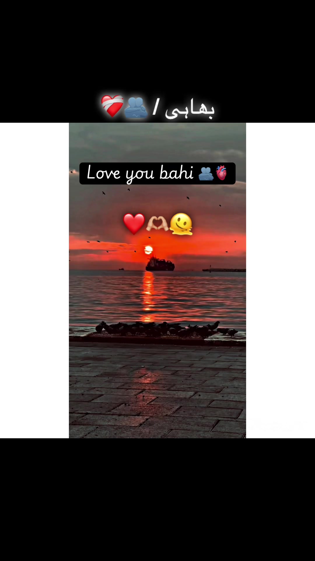 @صاحب 🍁🏴&zwj;☠️🚩