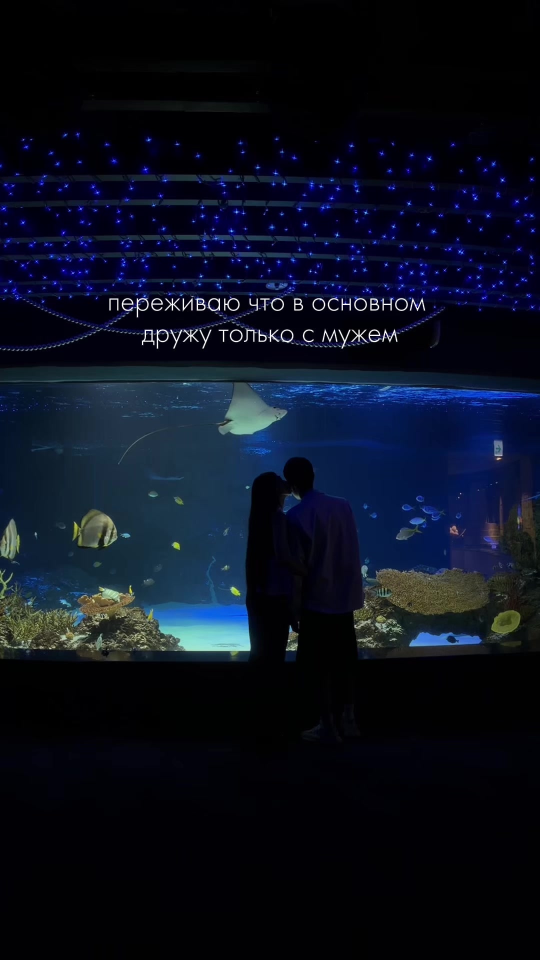 @тгк: у фиры🐾