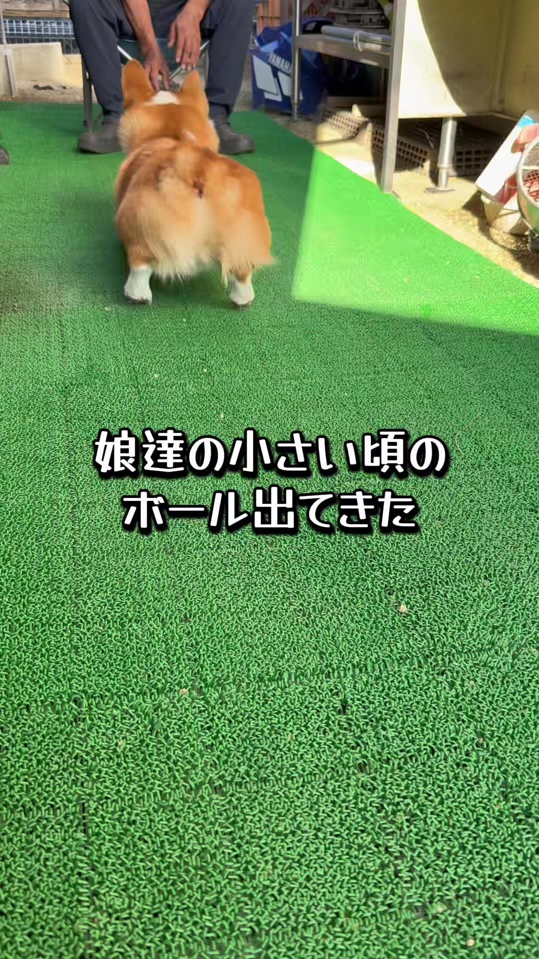 @みこぽん🌻🌻