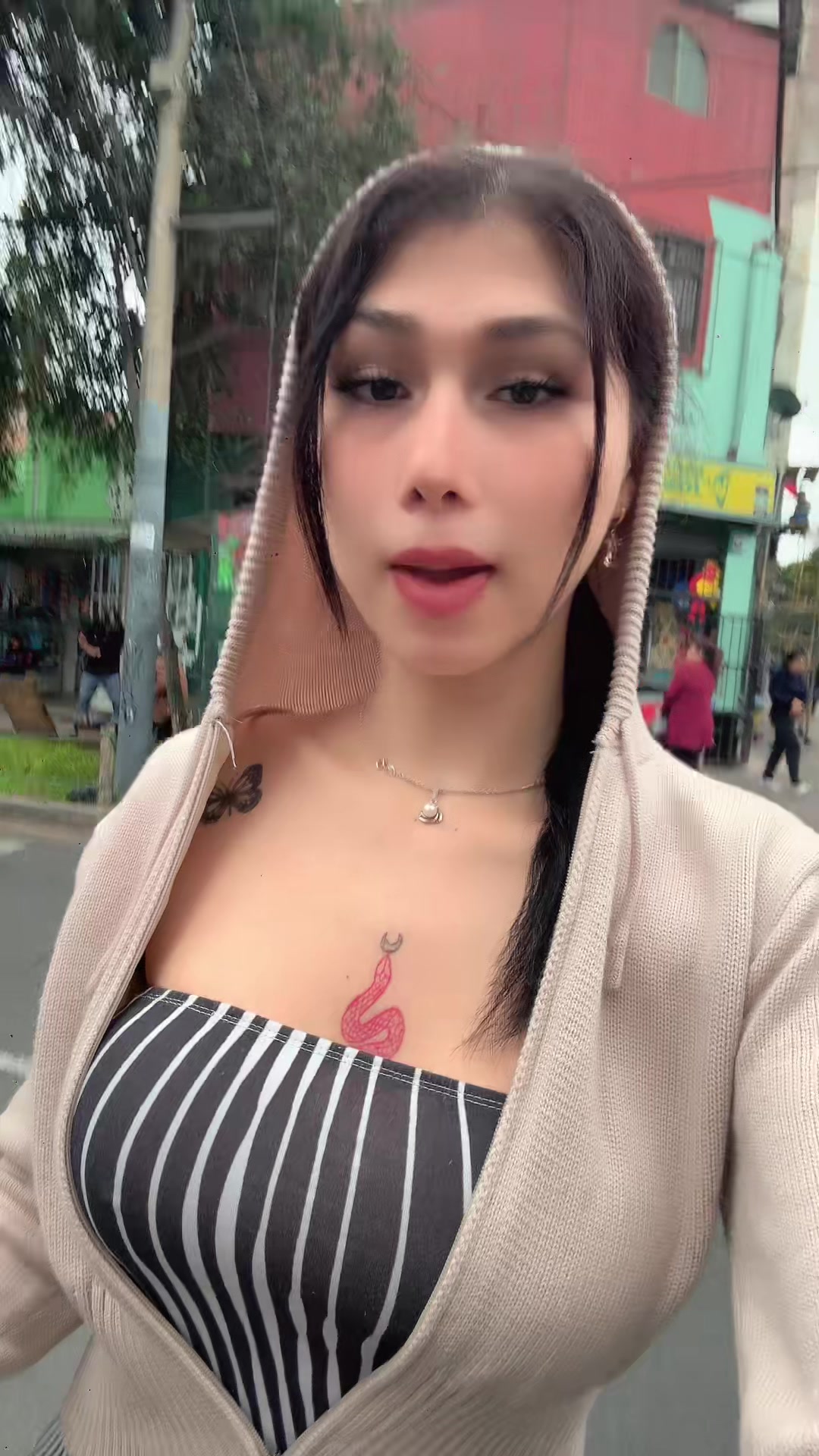 @Miranda Rojas ticliahuanga