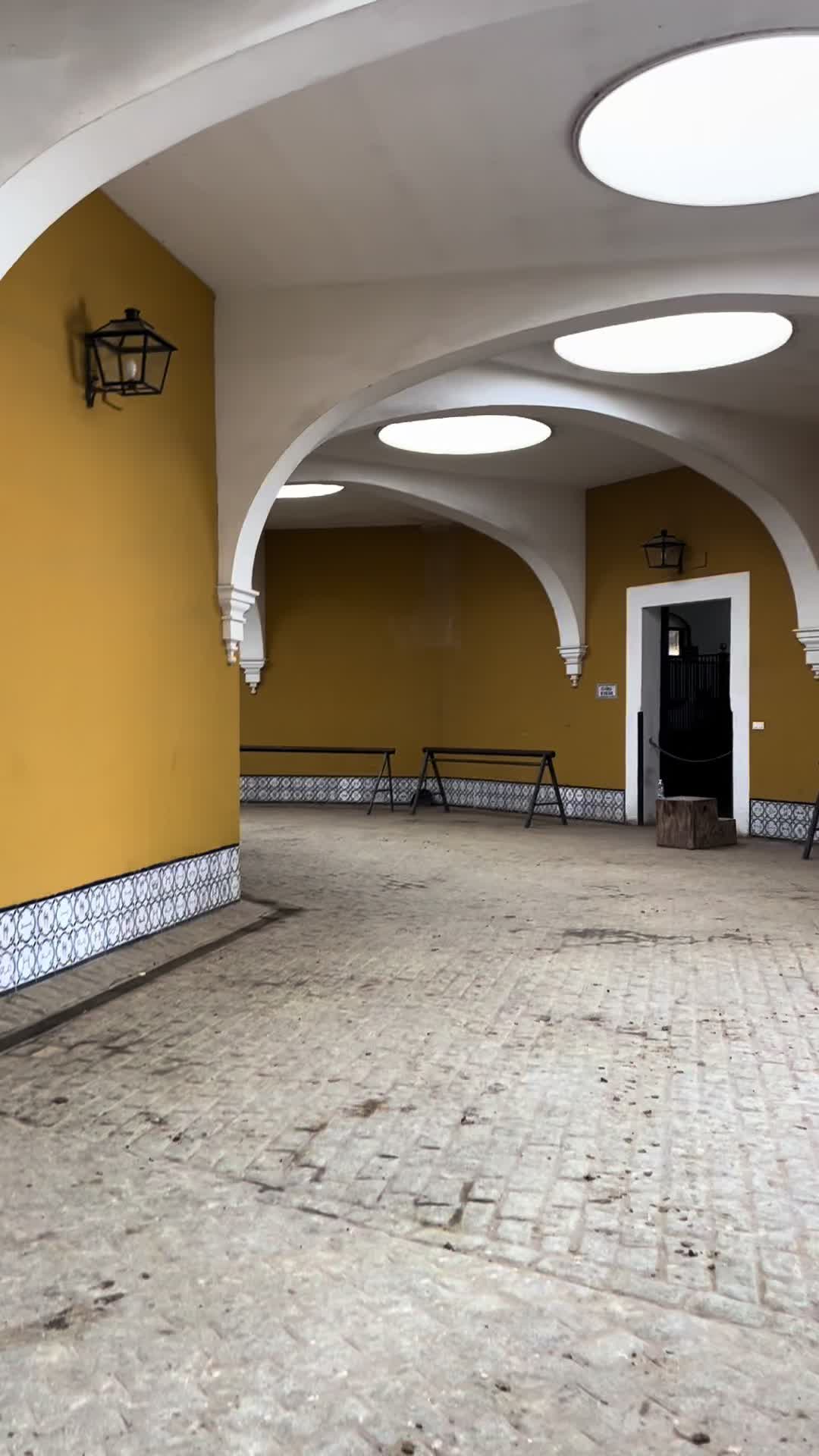 @Pepe Serrato