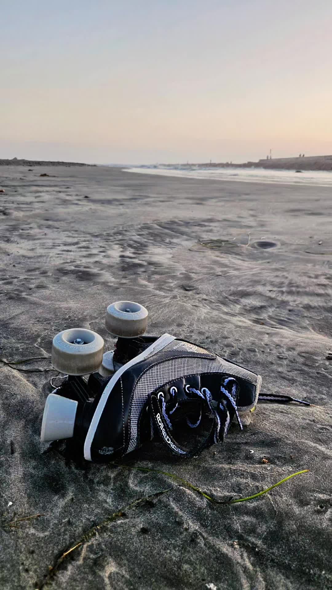 @🐠 Mr Sheev 🌊