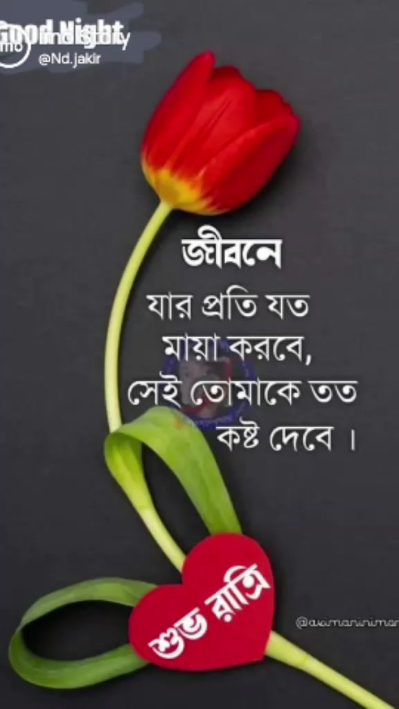@Mohammed Anwar