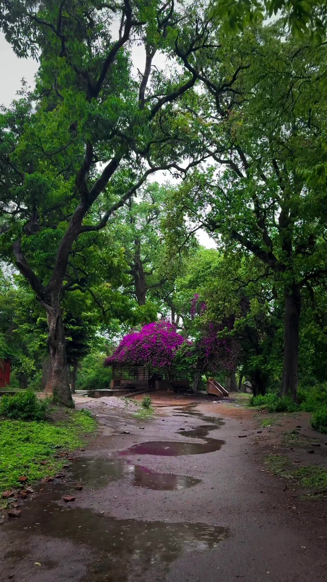 @Sudarshan Neupane