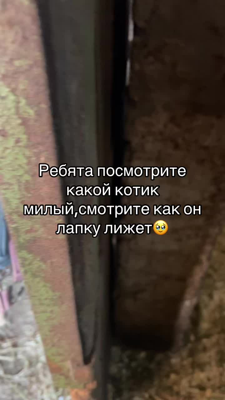 @Ли🐴