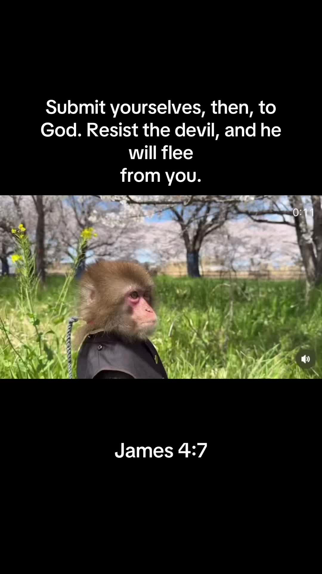 @Itsreal
