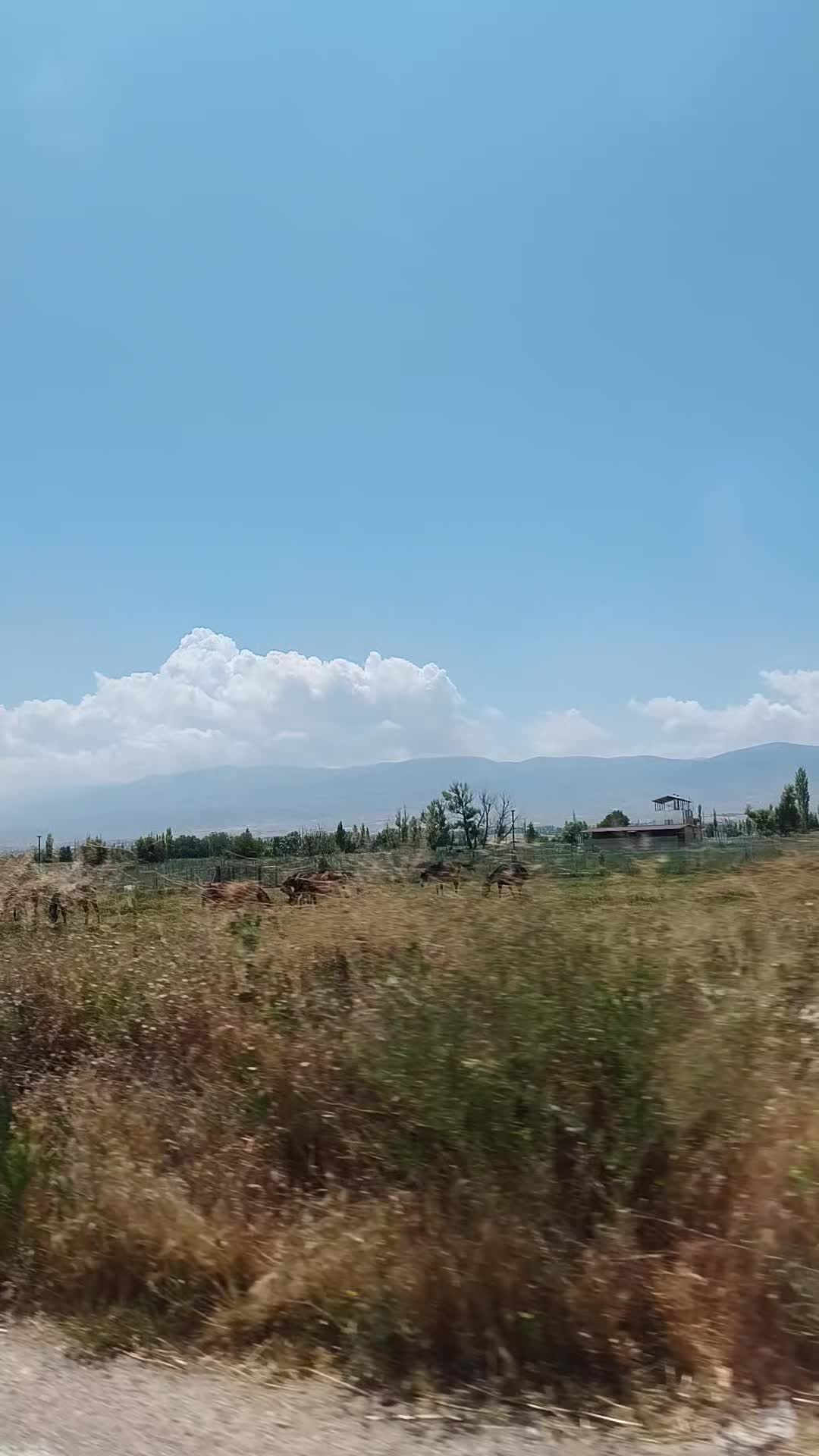@Bir kelebek 🦋 misali ömrüm