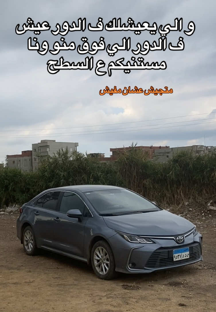 @Youssef Omran