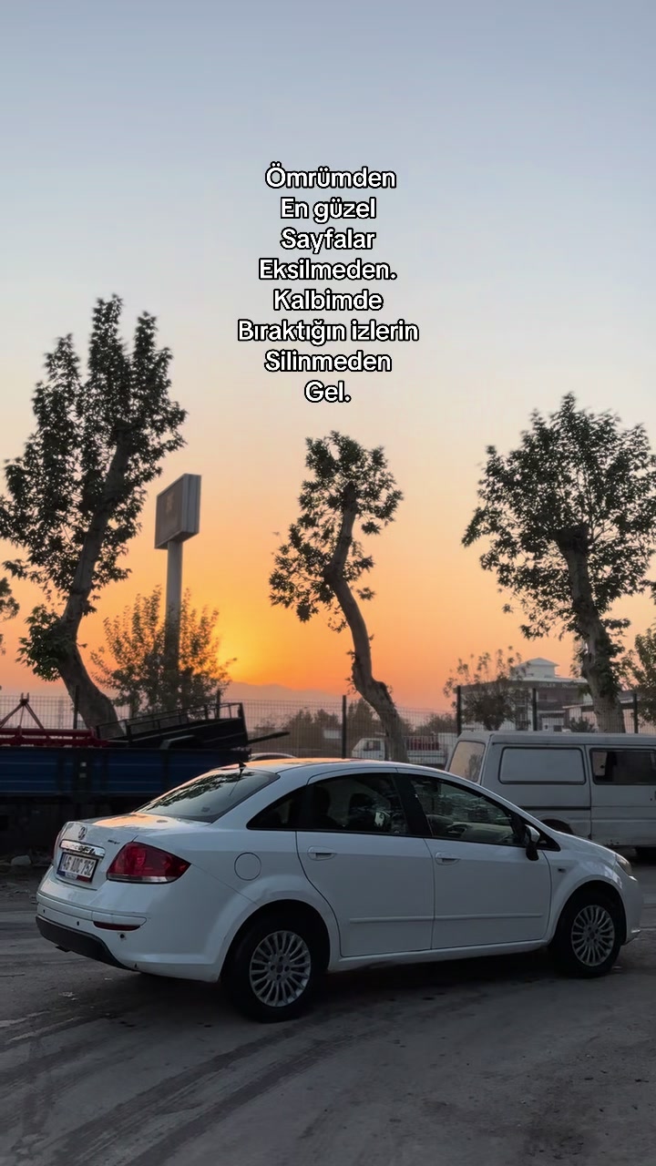 @m.dursunx