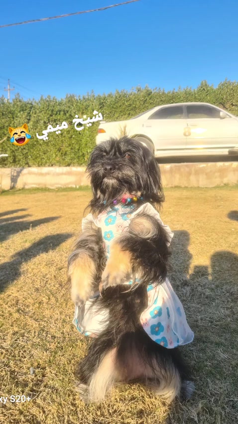 @𝑨𝒏𝒈𝒆𝒍
