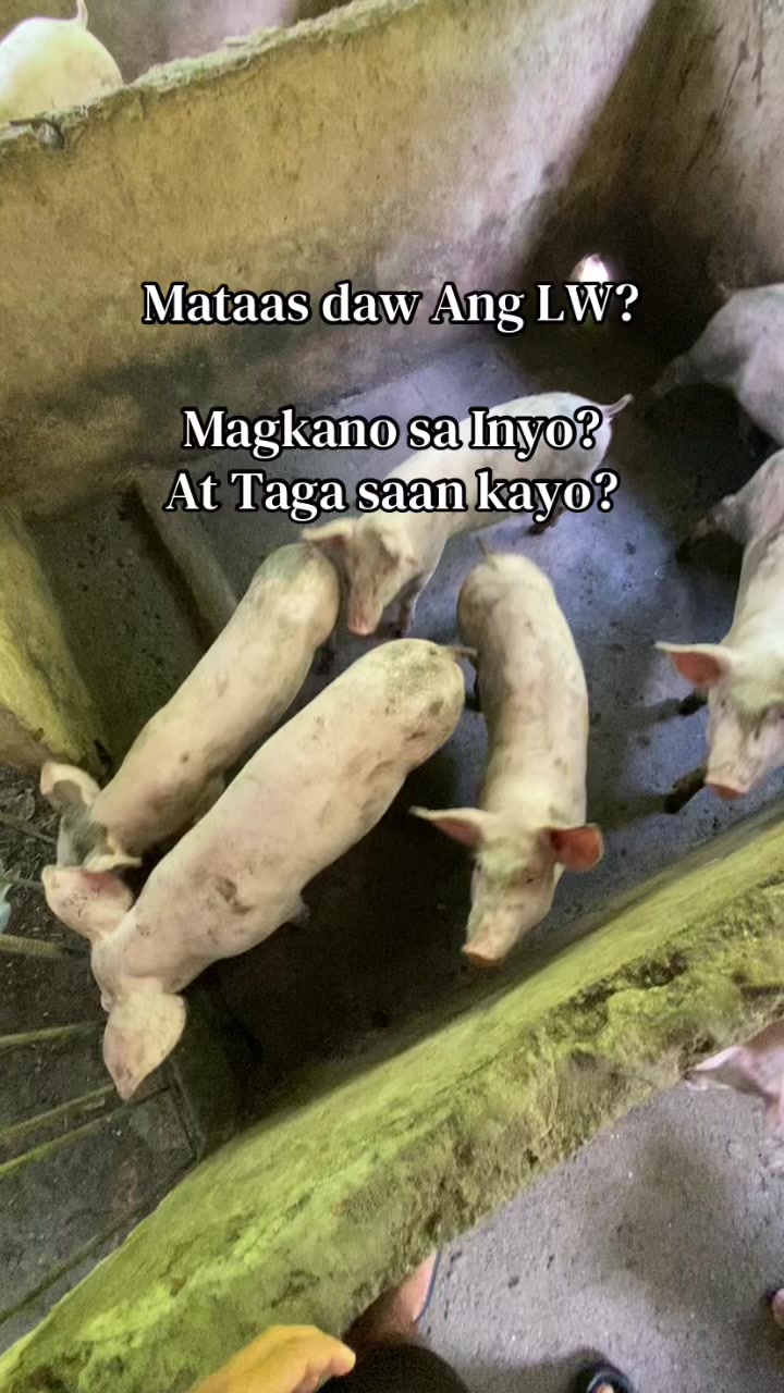 @kahigal