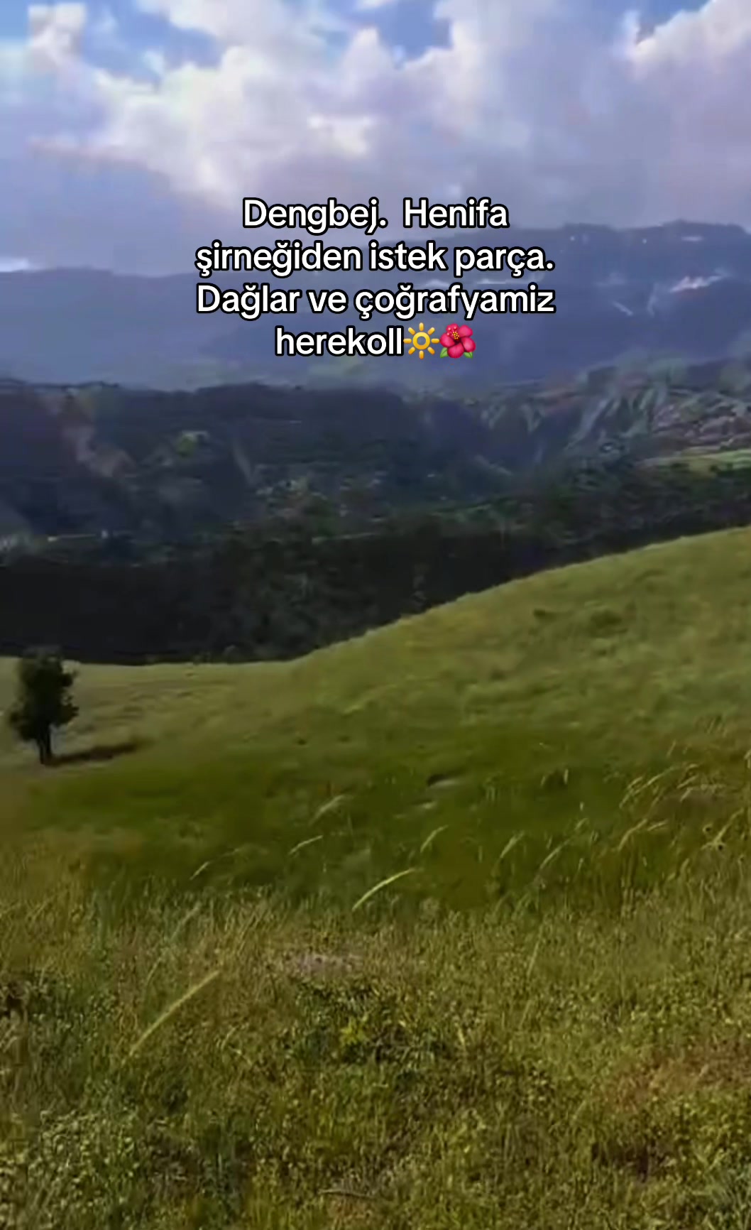 @ŞİYAR ✪