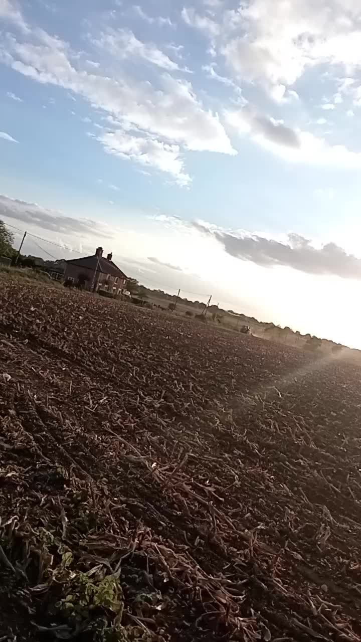 @agrigogs
