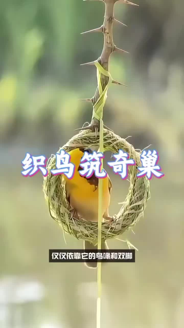 @☛𝓜𝓭 𝓘𝓶𝓪𝓶꧁❤•༆$☚