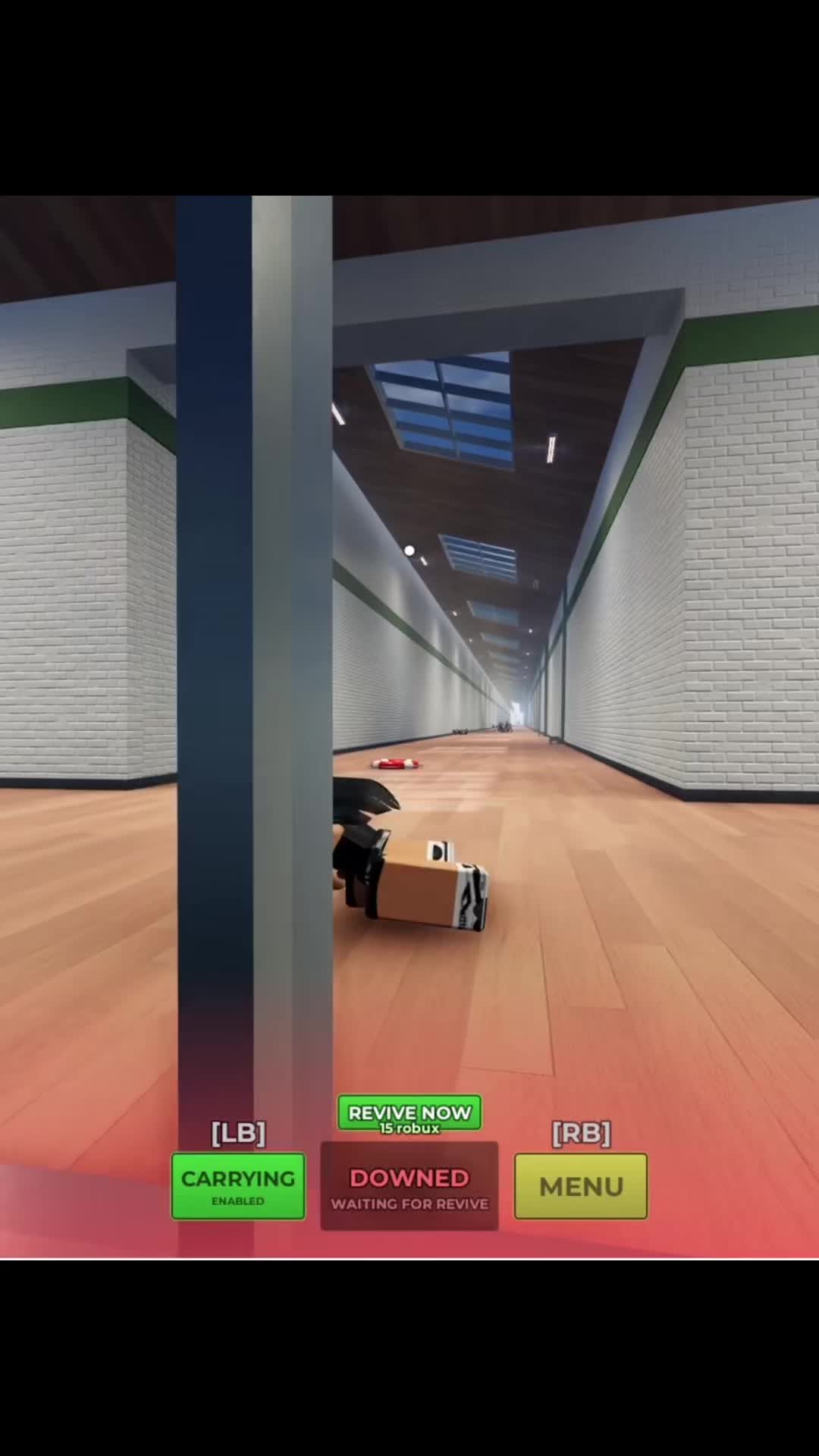 @user56125327009