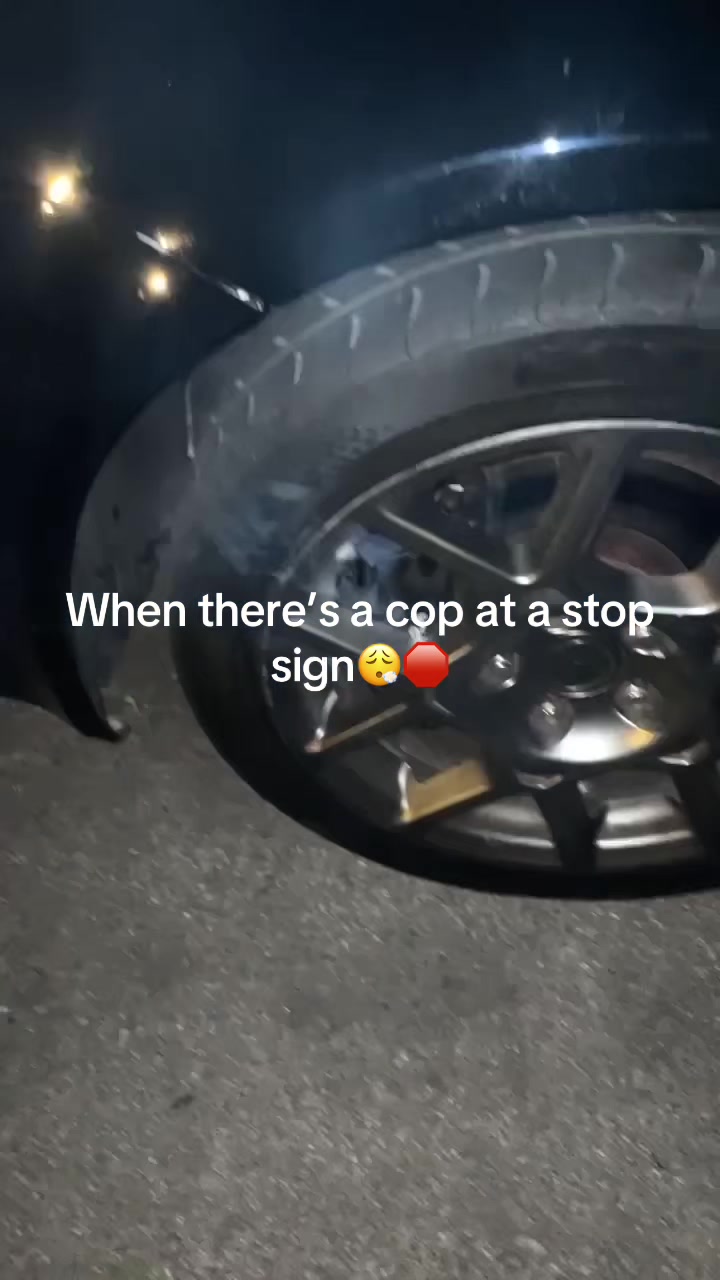 @thepplstransportation