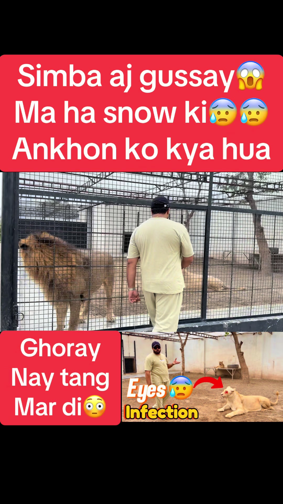 @Mian saqib