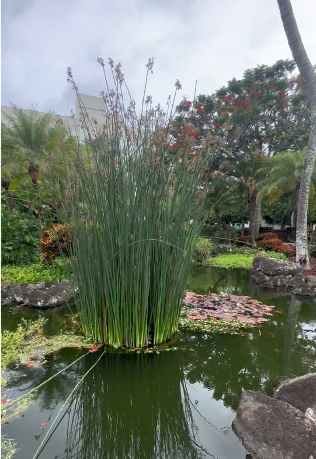 @𝑳𝒂𝑺𝒂𝒍𝒗𝒊𝒎𝒂𝒎𝒊𝒊503🩷