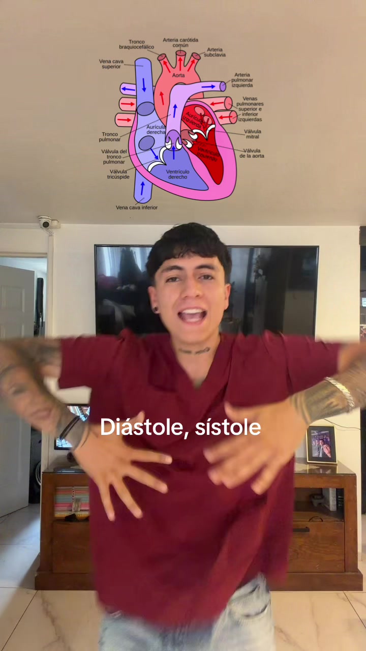 @ENDOBOY