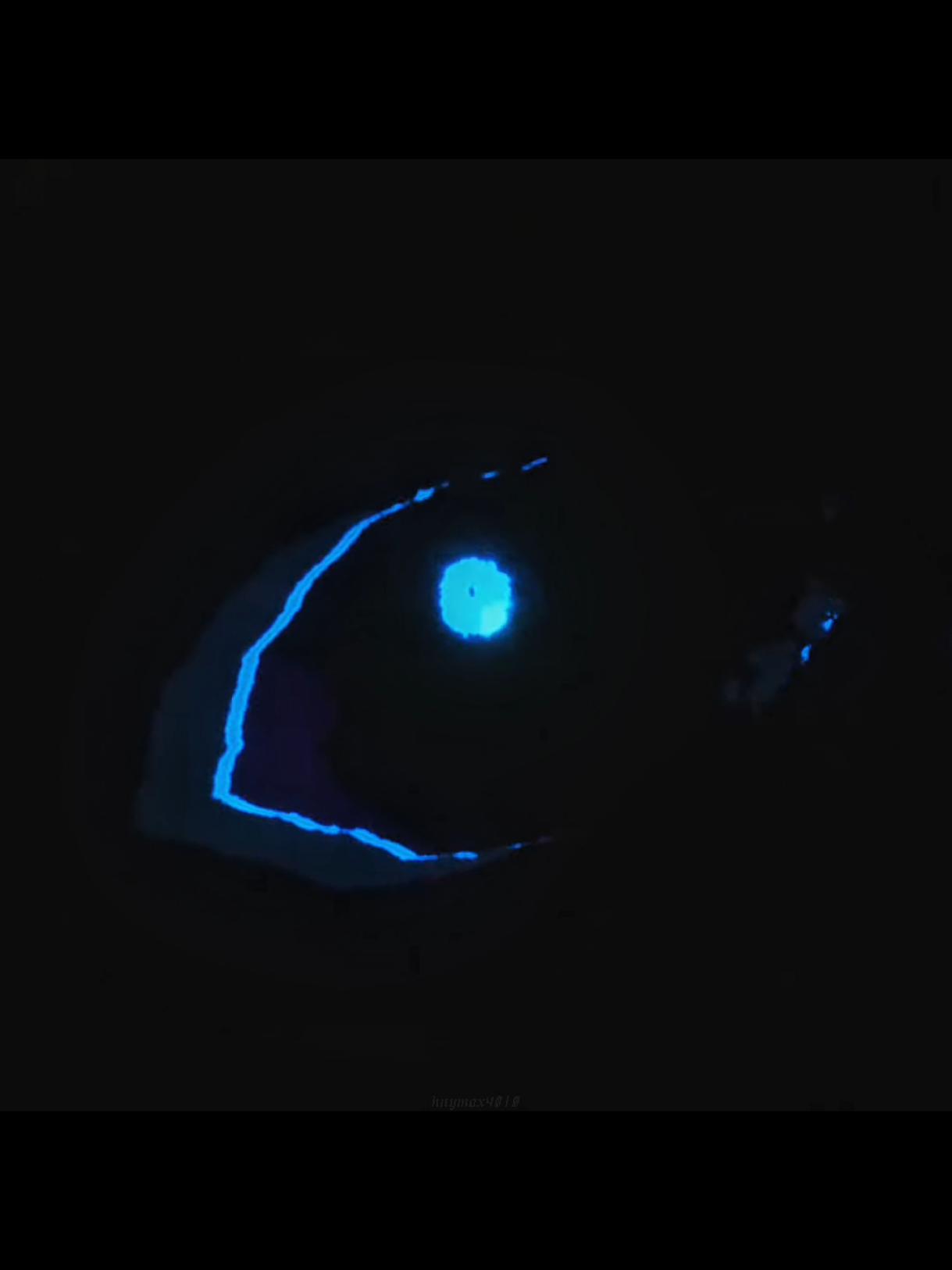 @SANS_EDITOR