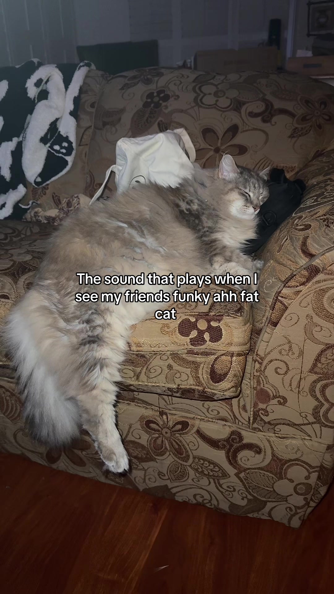 @Viv