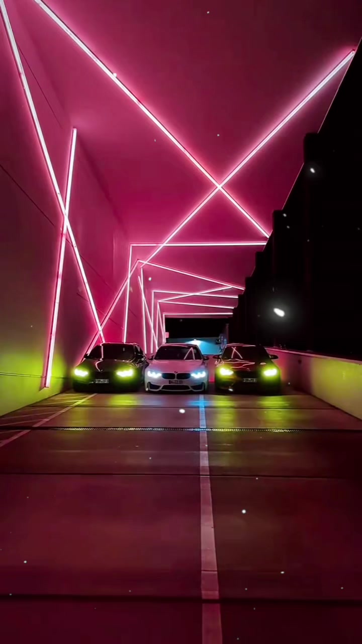 @mr.mystery538