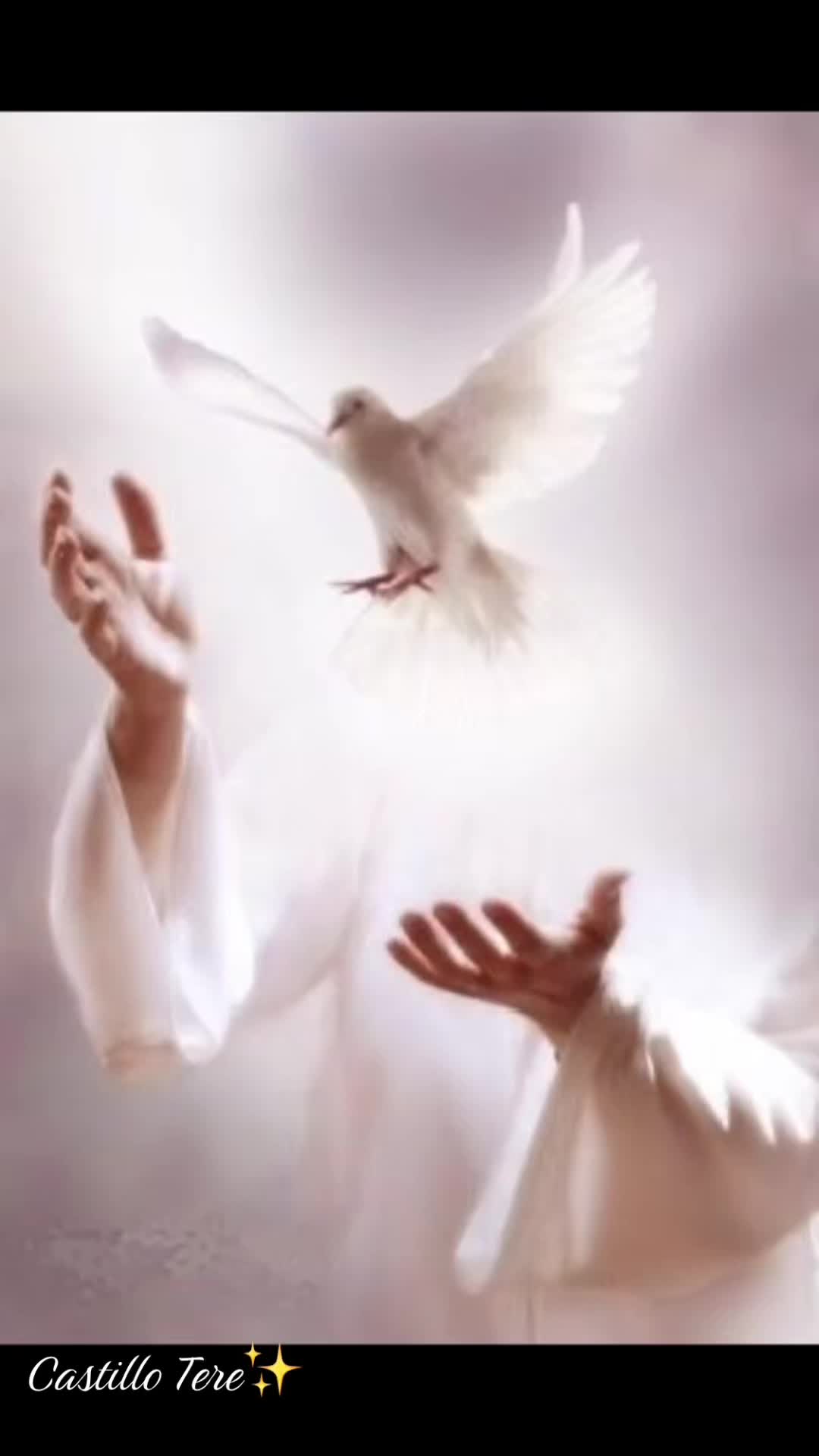 @𝕿𝖊𝖗𝖊 𝕮𝖆𝖘𝖙𝖎𝖑𝖑𝖔꧂c&hearts;️꧁