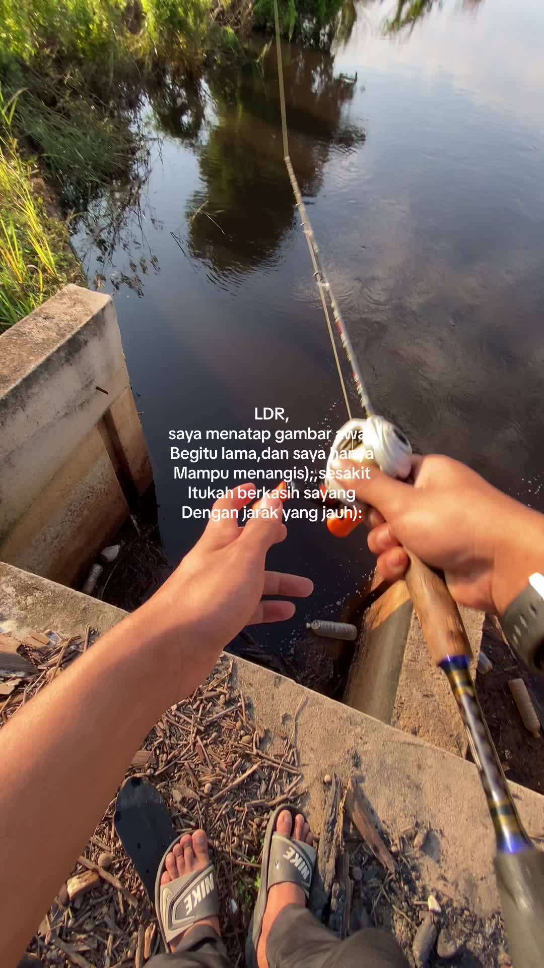 @AYIEN📉